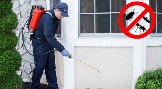 Gürgentepe Hamam Böceği İlaçlama böcek ilaçlama ve haşere kontrolü — ilaclama-tr.com